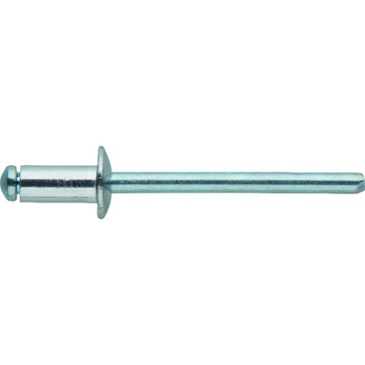 FORTIS - Blindniet Standard Flachrundkopf 4 x 10mm, 100 Stück