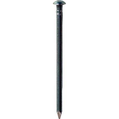 BÄR® - Alunägel Linsenkopf ø4,5 x 80mm