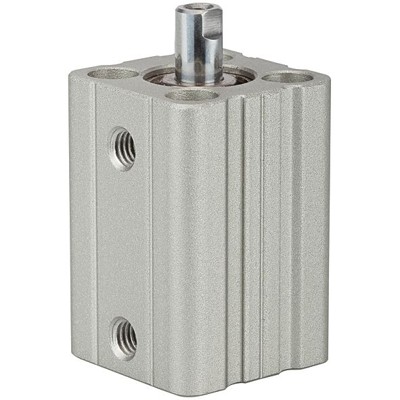 RIEGLER® - Kurzhubzylinder »ACQ« doppeltwirkend, Kolben-Ø 12, Hub 35, M5x0,8