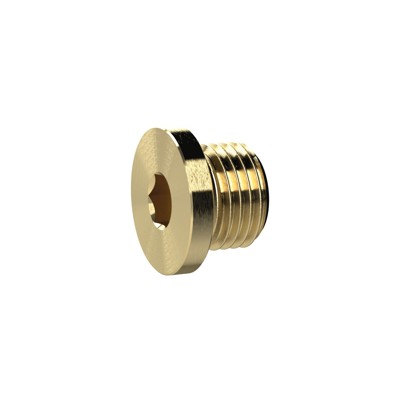 RIEGLER® - Verschlussschraube, Innensechskant und Bund, G 3/8", SW 8, Messing