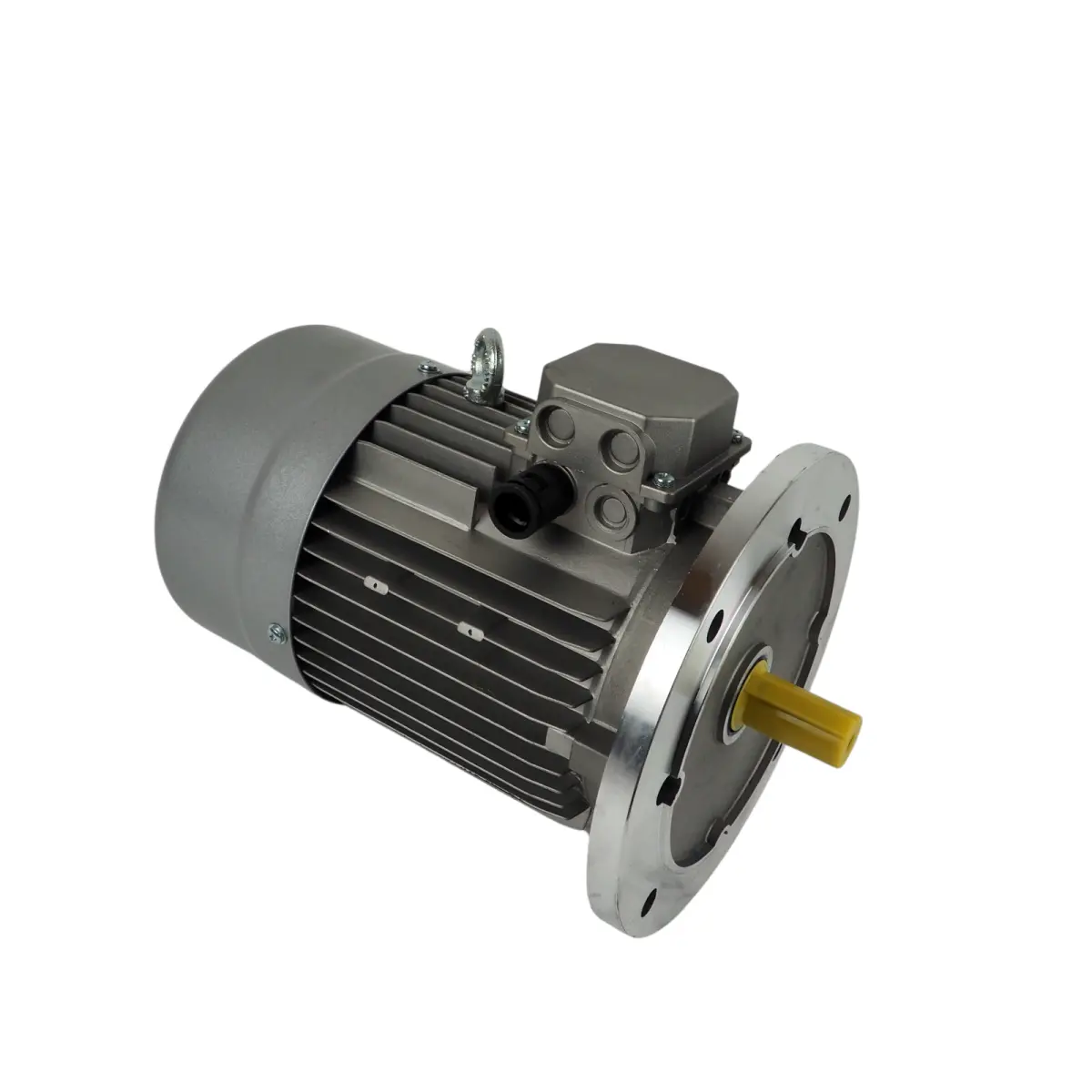 Elektromotor 400V 2 Geschwindigkeiten Drehrichtung für STM
