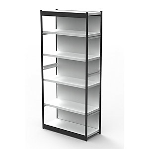 Büro-Regalsystem, mit Rückwand, Regalhöhe 2250 mm, Grundregal, Breite x Tiefe 1000 x 300 mm.